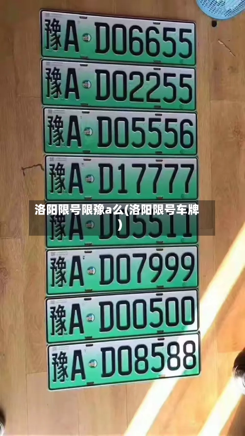洛阳限号限豫a么(洛阳限号车牌)-第2张图片