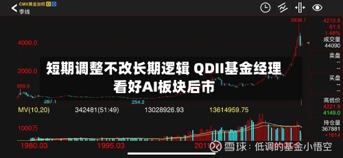短期调整不改长期逻辑 QDII基金经理看好AI板块后市-第3张图片