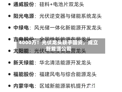 4000万！光伏龙头联手国资	，成立新能源公司-第1张图片