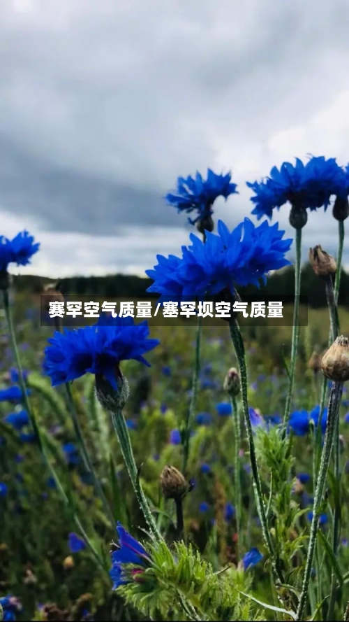 赛罕空气质量/塞罕坝空气质量-第2张图片