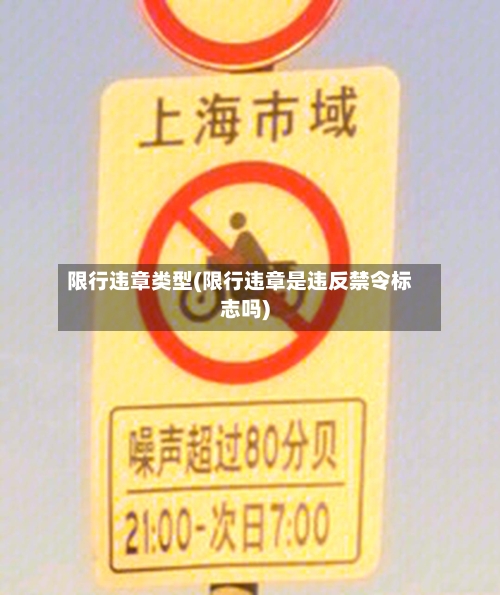 限行违章类型(限行违章是违反禁令标志吗)-第2张图片