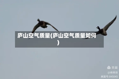 庐山空气质量(庐山空气质量如何)-第3张图片