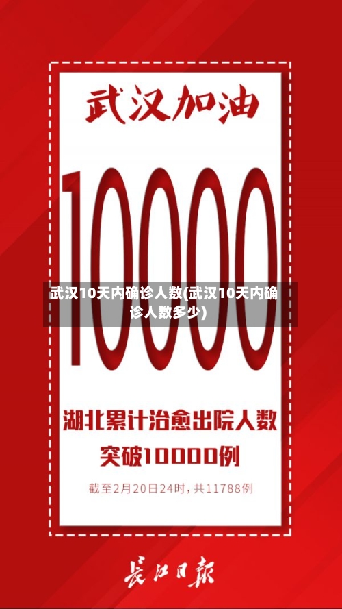 武汉10天内确诊人数(武汉10天内确诊人数多少)