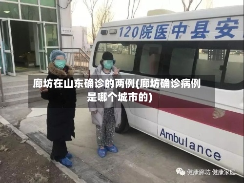 廊坊在山东确诊的两例(廊坊确诊病例是哪个城市的)-第2张图片