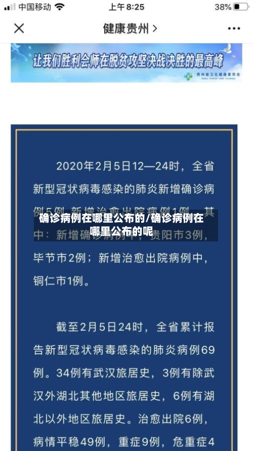 确诊病例在哪里公布的/确诊病例在哪里公布的呢