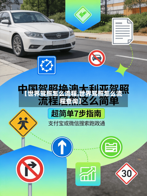 【世界驾照怎么流程,世界驾照怎么流程查询】