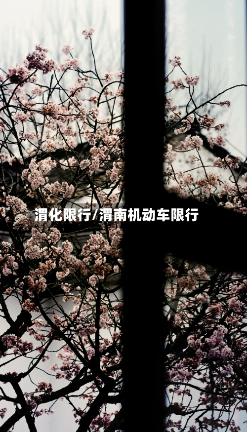 渭化限行/渭南机动车限行