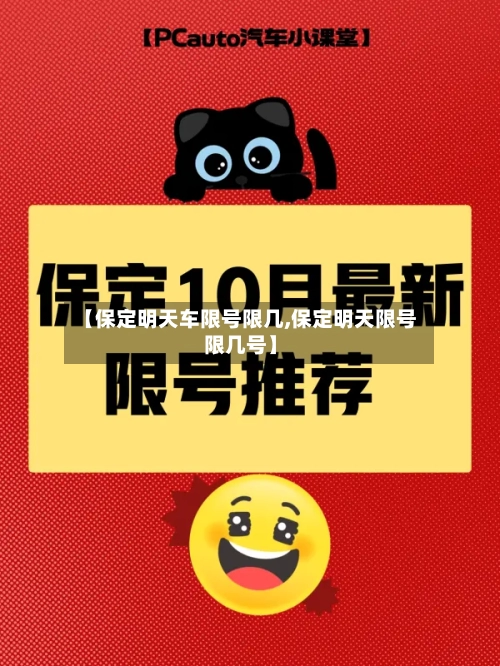 【保定明天车限号限几,保定明天限号限几号】-第2张图片