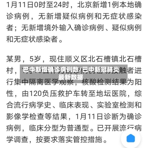 巴中新增确诊病例数/巴中新冠肺炎最新数据-第2张图片