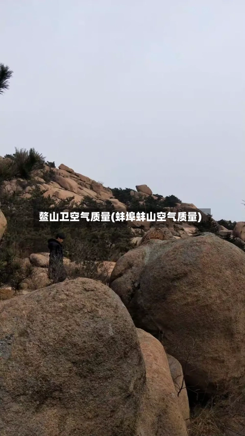 鳌山卫空气质量(蚌埠蚌山空气质量)-第3张图片