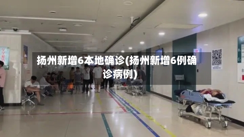 扬州新增6本地确诊(扬州新增6例确诊病例)