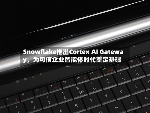 Snowflake推出Cortex AI Gateway	，为可信企业智能体时代奠定基础-第2张图片