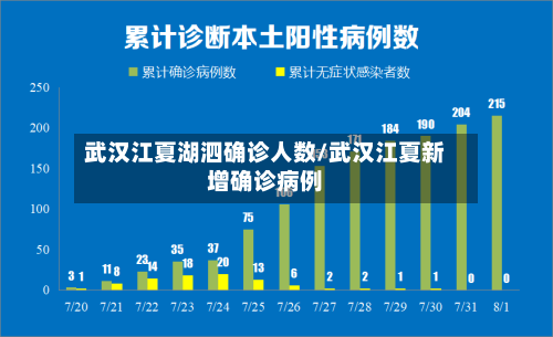 武汉江夏湖泗确诊人数/武汉江夏新增确诊病例
