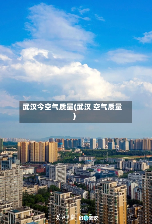 武汉今空气质量(武汉 空气质量)
