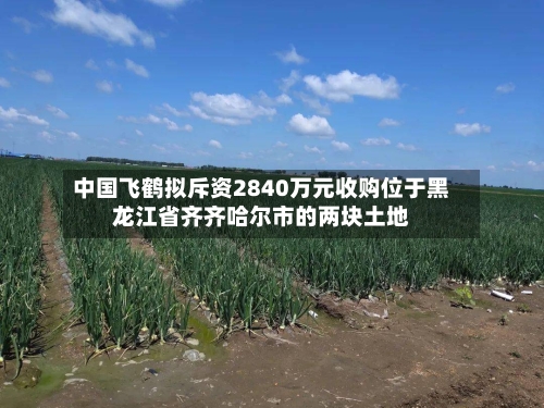 中国飞鹤拟斥资2840万元收购位于黑龙江省齐齐哈尔市的两块土地-第3张图片
