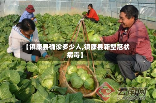 【镇康县确诊多少人,镇康县新型冠状病毒】